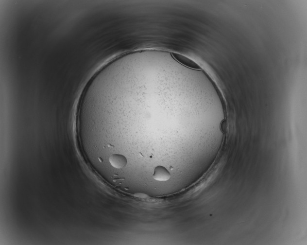 X0000088090957200705251426