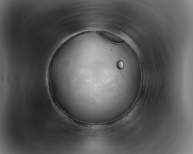 X0000088090958200705251426