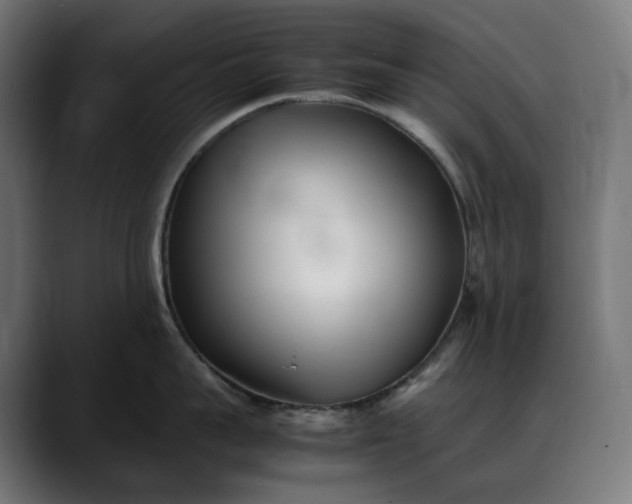 X0000088090959200705251426