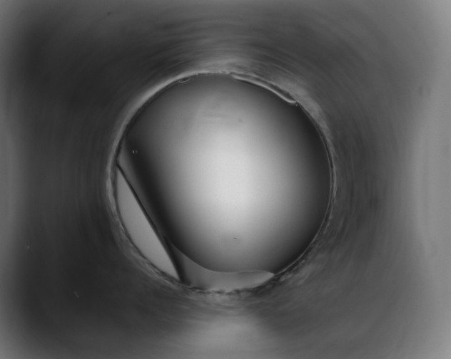 X0000088090960200705251426