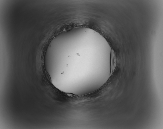 X0000088090961200705251425