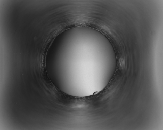 X0000088090964200705251425