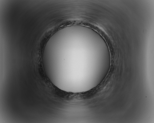 X0000088090967200705251425