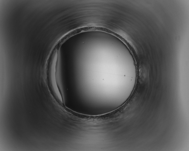 X0000088090972200705251425