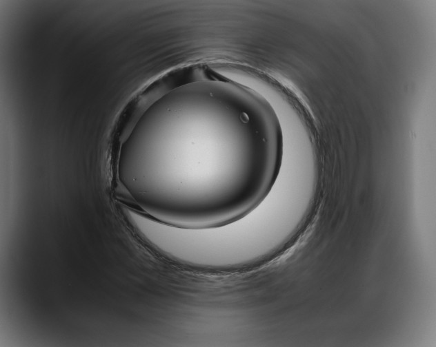 X0000088090973200705251425