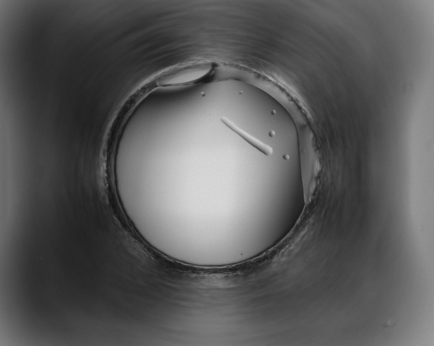 X0000088090976200705251425