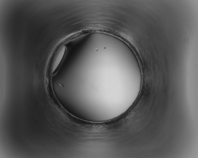 X0000088090979200705251425