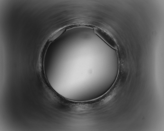 X0000088090981200705251425