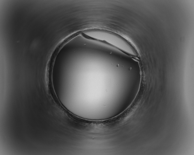 X0000088090983200705251425