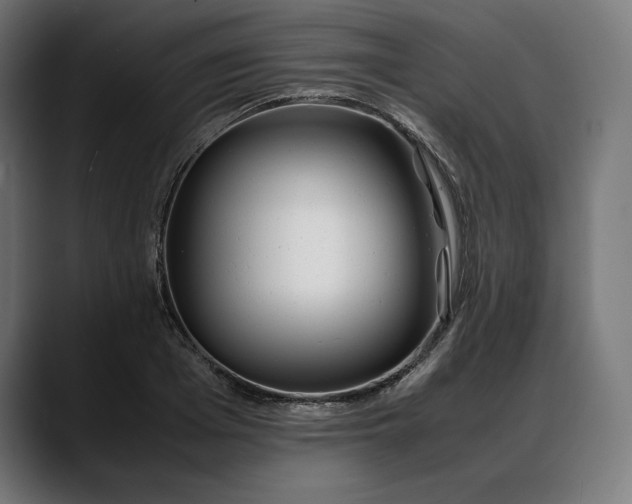 X0000088090985200705251425