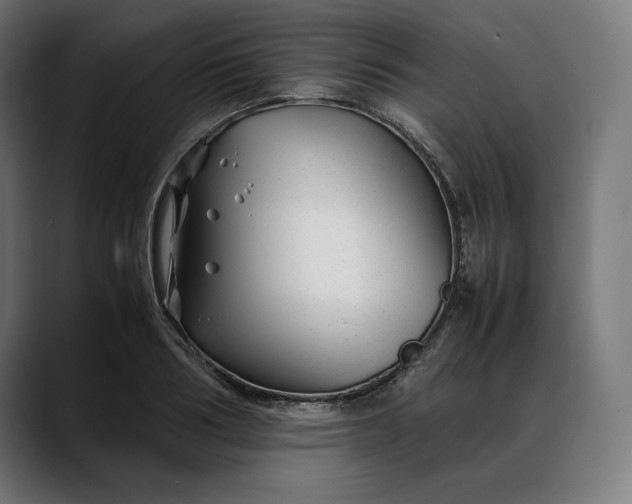 X0000088090986200705251425