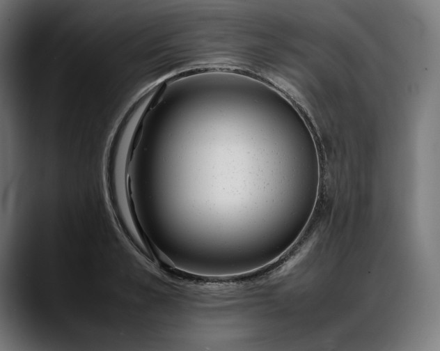 X0000088090989200705251425