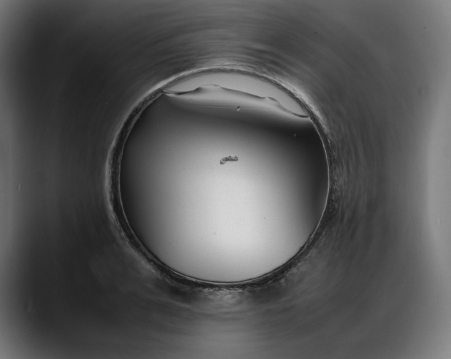 X0000088090991200705251425