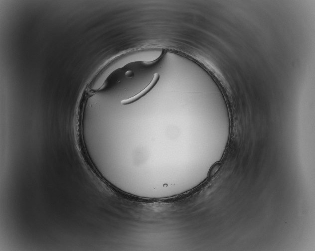 X0000088090992200705251425