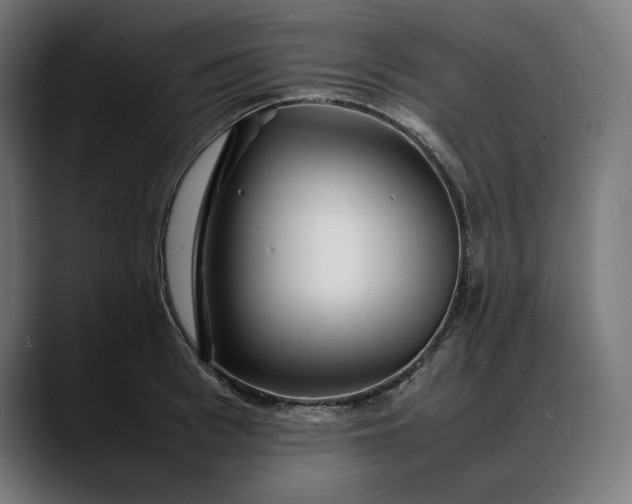 X0000088090993200705251425