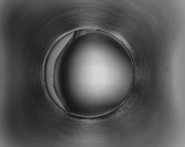 X0000088090996200705251425