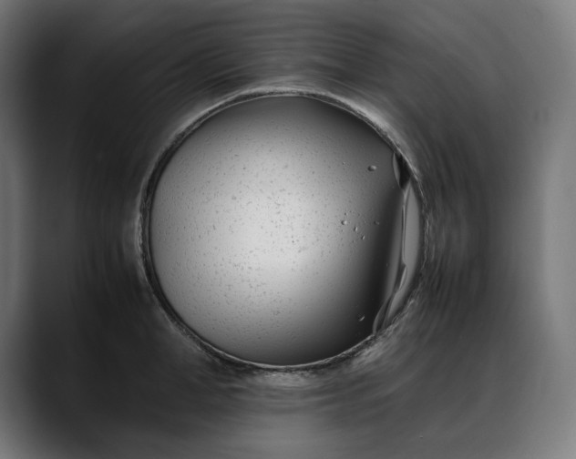 X0000088090998200705251425