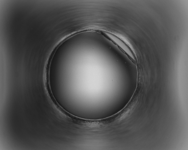 X0000088090999200705251425