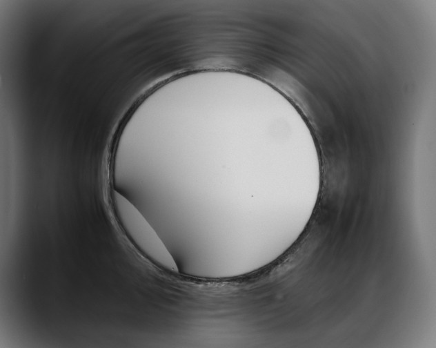 X0000088091000200705251425