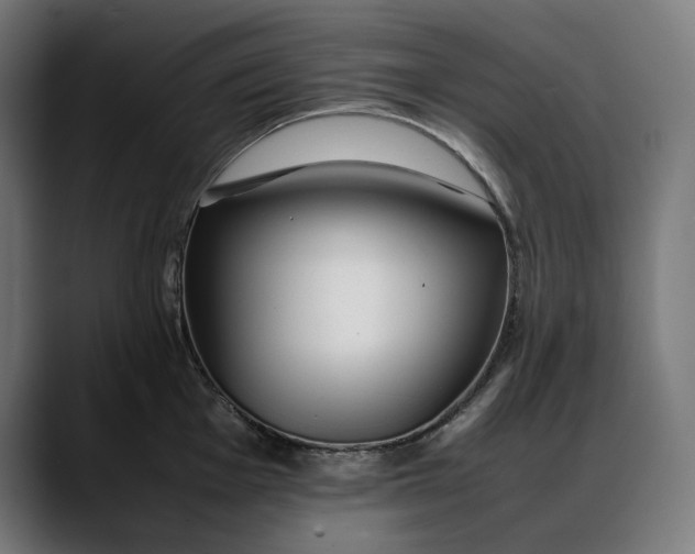 X0000088091001200705251425