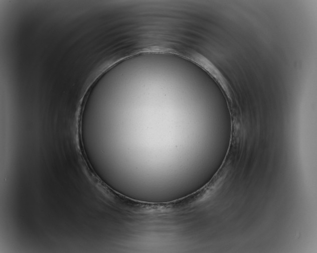 X0000088091002200705251425