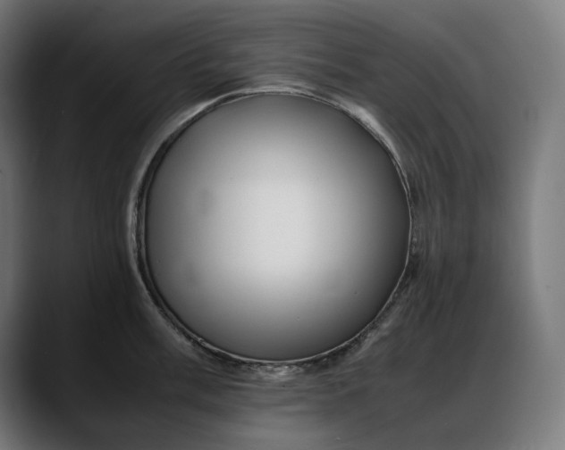 X0000088091003200705251425