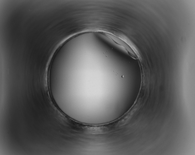 X0000088091004200705251425