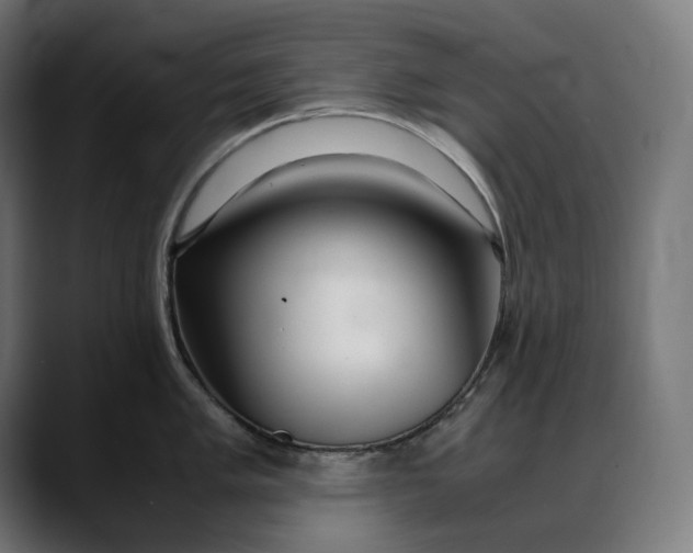 X0000088091005200705251425