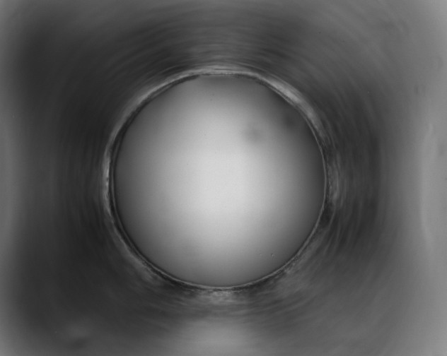 X0000088091006200705251425