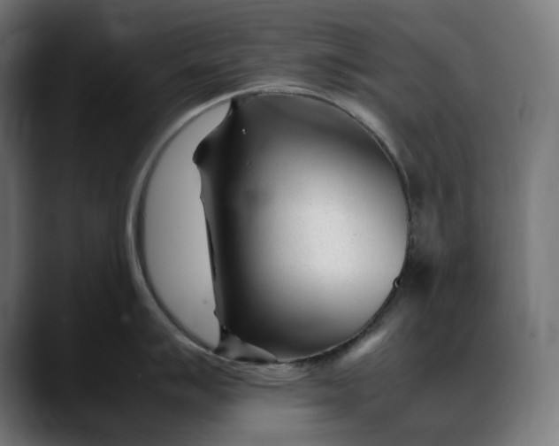 X0000088091007200705251425