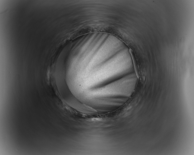 X0000088091010200705251424