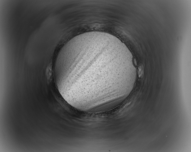 X0000088091011200705251424