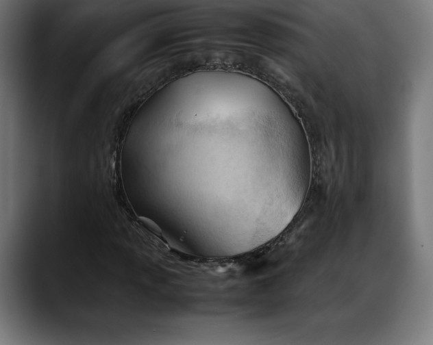 X0000088091013200705251424