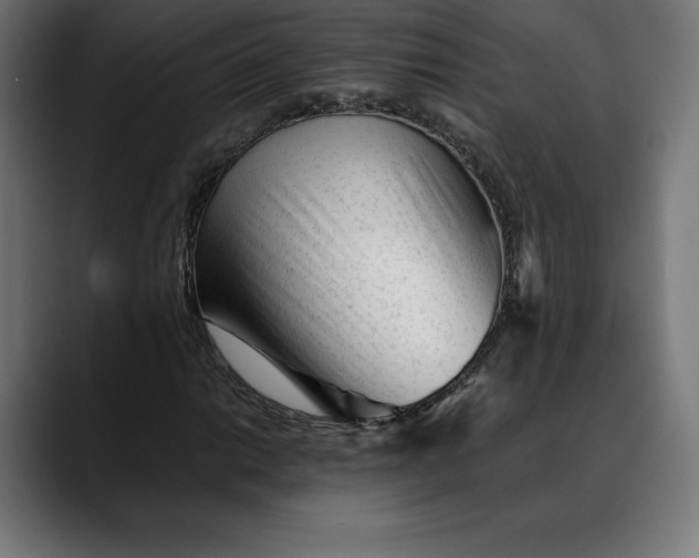 X0000088091014200705251424