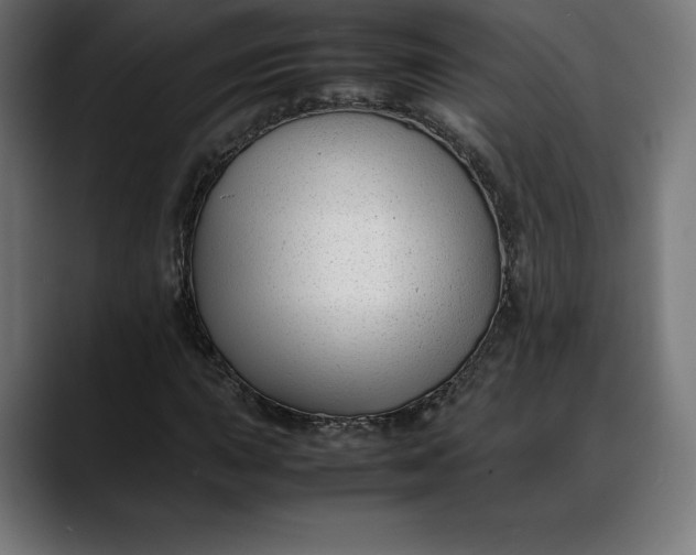 X0000088091015200705251424