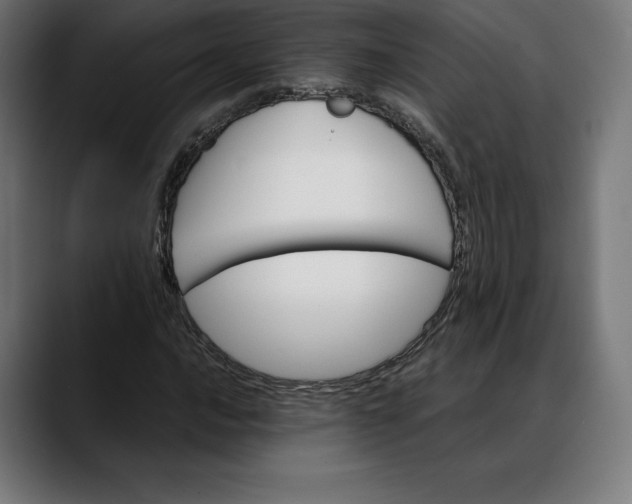 X0000088091016200705251424