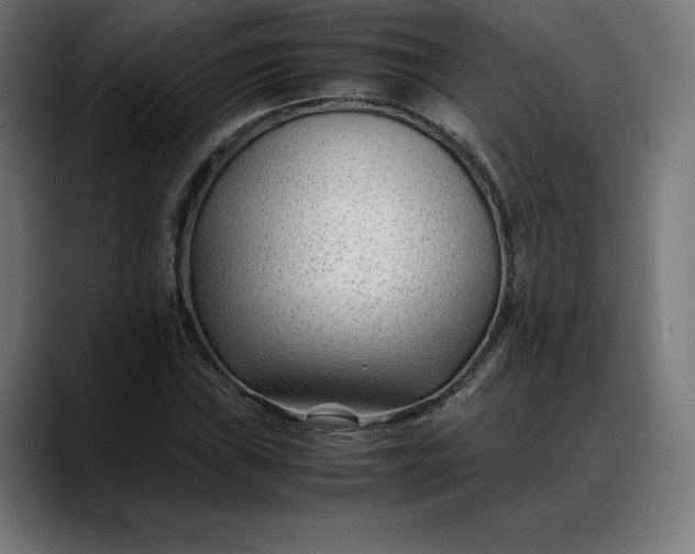 X0000088091019200705251424