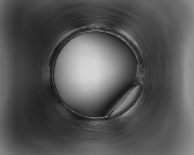 X0000088091021200705251424