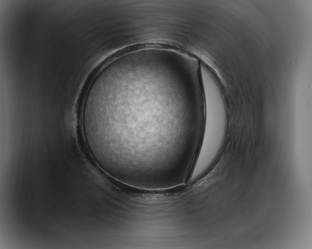 X0000088091024200705251424