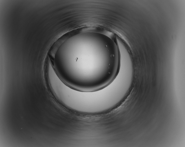 X0000088091026200705251424