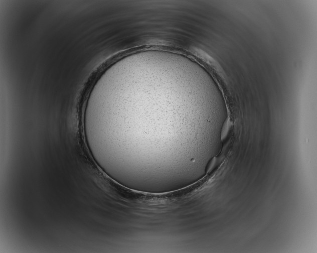 X0000088091027200705251424