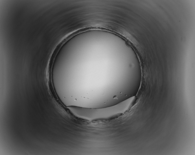 X0000088091028200705251424