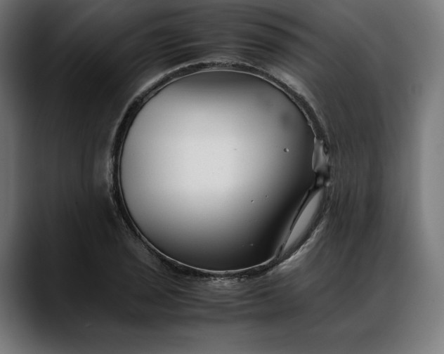 X0000088091029200705251424