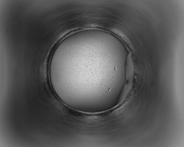 X0000088091031200705251425