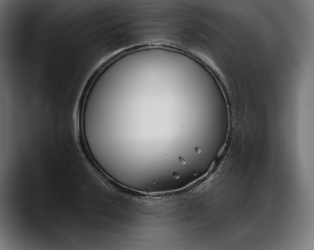 X0000088091032200705251425