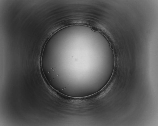 X0000088091033200705251425