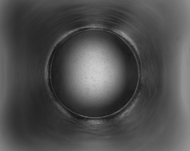 X0000088091037200705251425