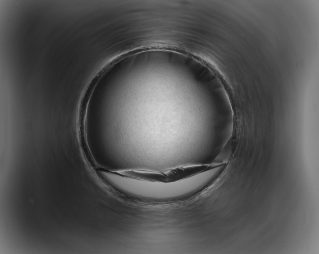 X0000088091038200705251425