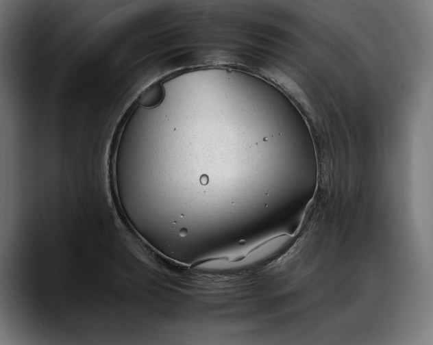 X0000088091039200705251425