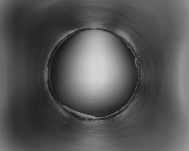 X0000088091040200705251425